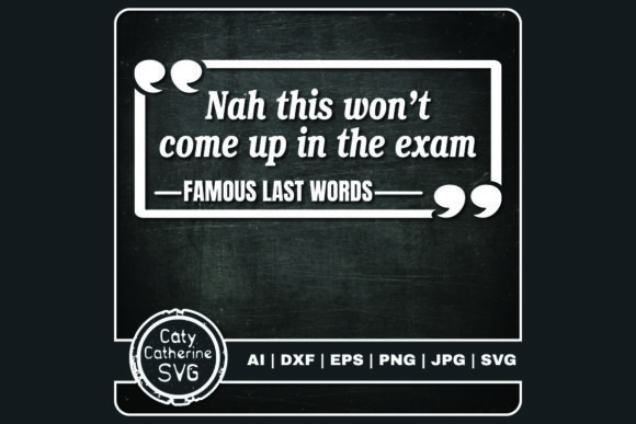 Nah This Won't Come Up in the Exam: A Designer's Review